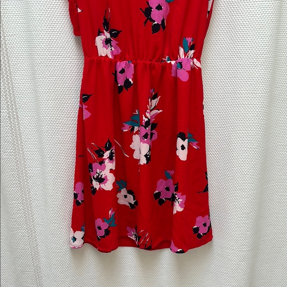 41 Hawthorn Red Floral Mini Sundress with Cap Sleeves - Picture 4 of 7